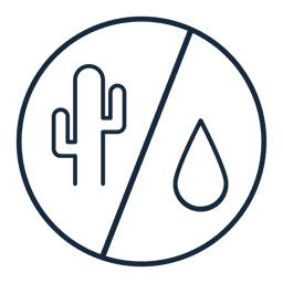 Combination skin type